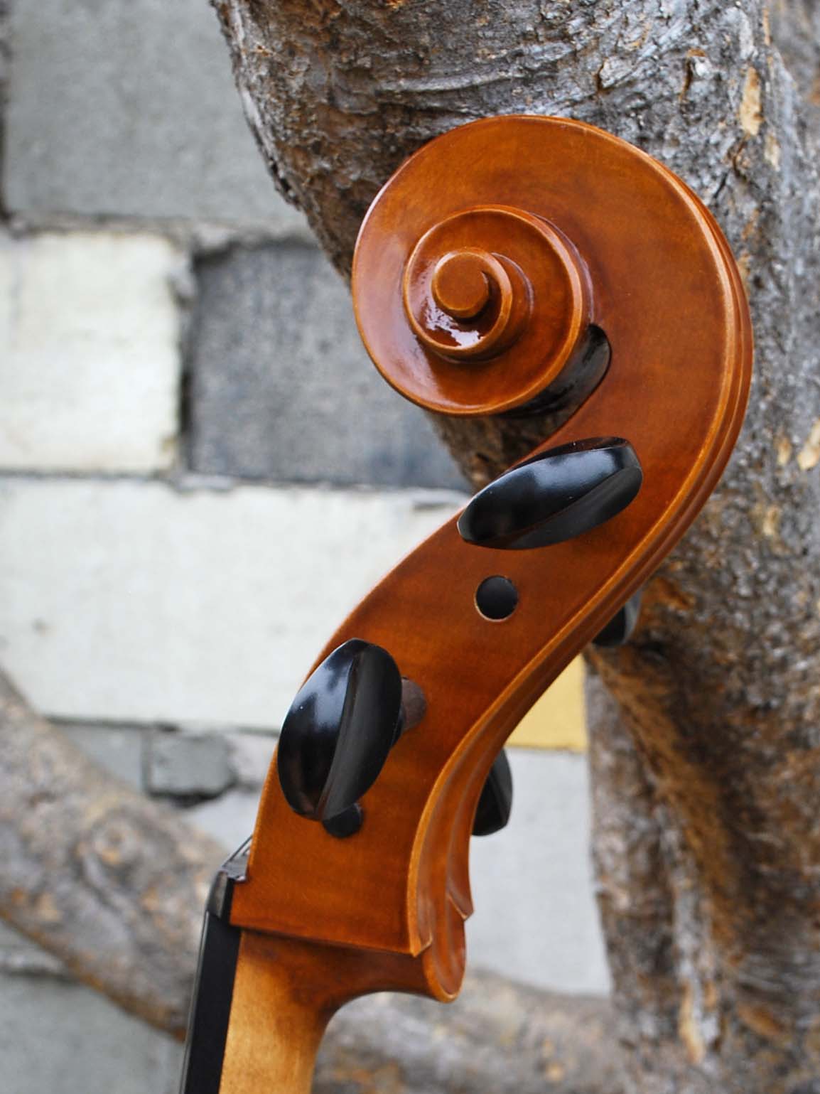 Calin Wultur model #6 'Guarneri' 4/4 Cello