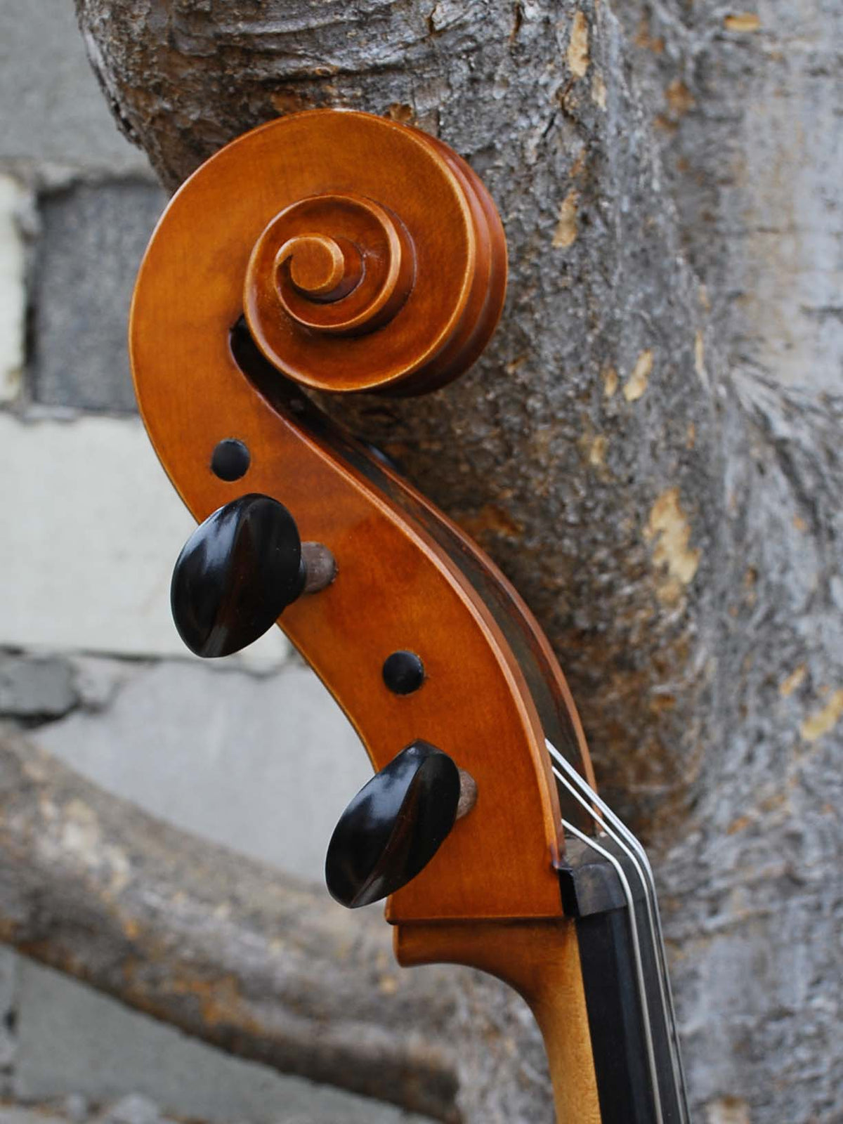 Calin Wultur model #6 'Guarneri' 4/4 Cello