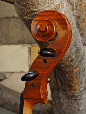 Calin Wultur #6 Montagnana 4/4 Cello