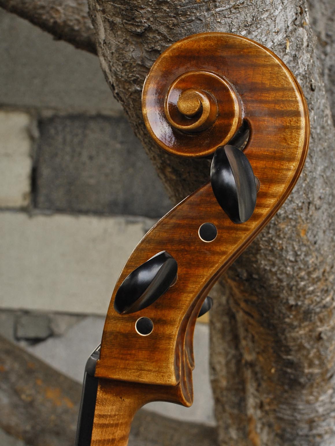 Tomasz Kowalski Workshop 7/8 Cello