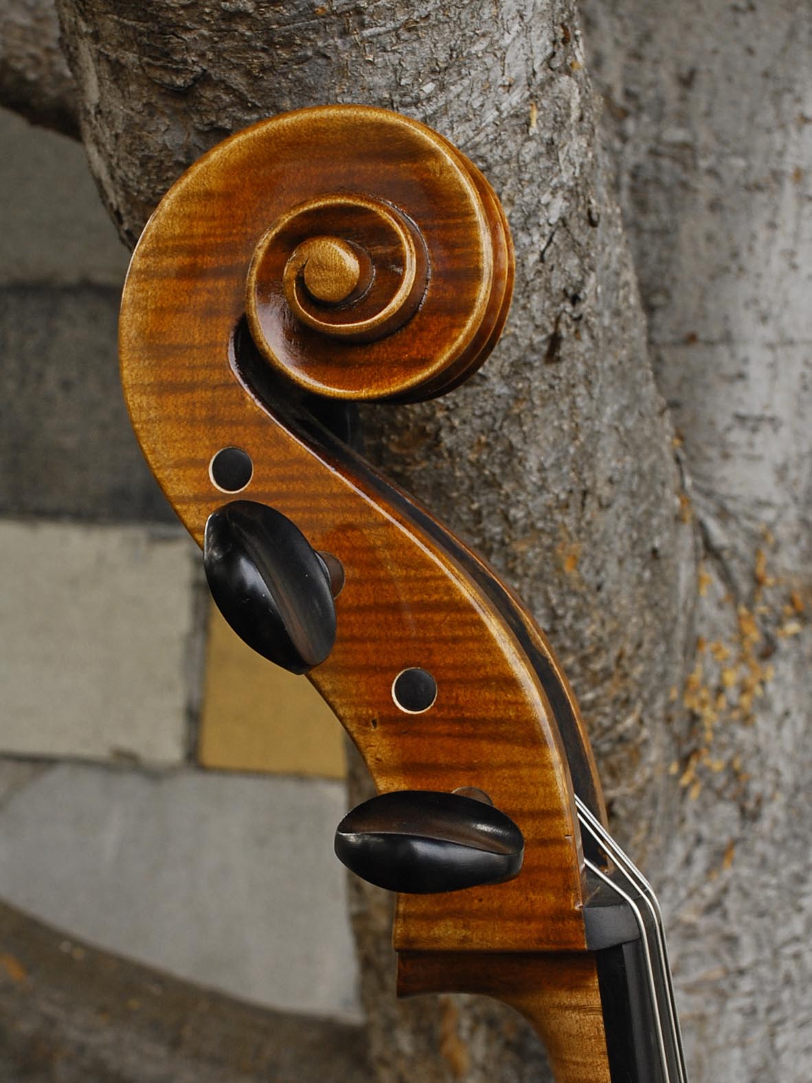 Tomasz Kowalski Workshop 7/8 Cello