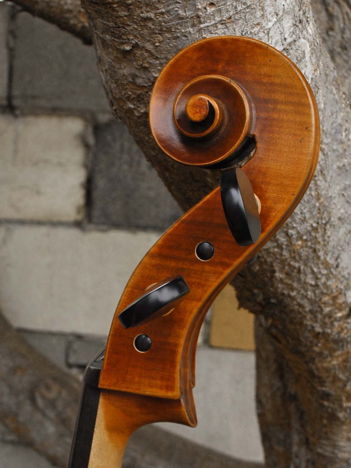 Thomas Hoyer - 4/4 Cello