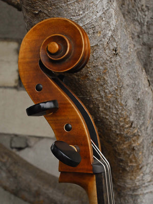 Thomas Hoyer - 4/4 Cello