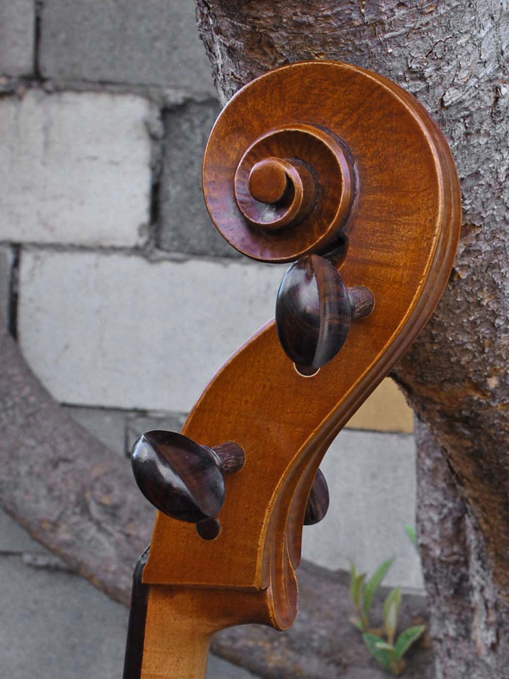 Andrzej Glodek Master 7/8 Cello (A)