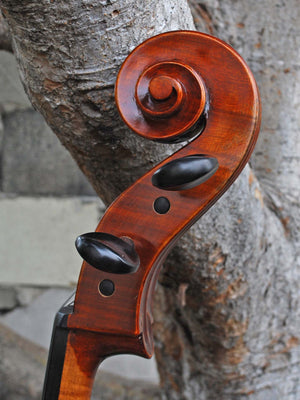 Rudoulf Doetsch model 701 7/8 Cello