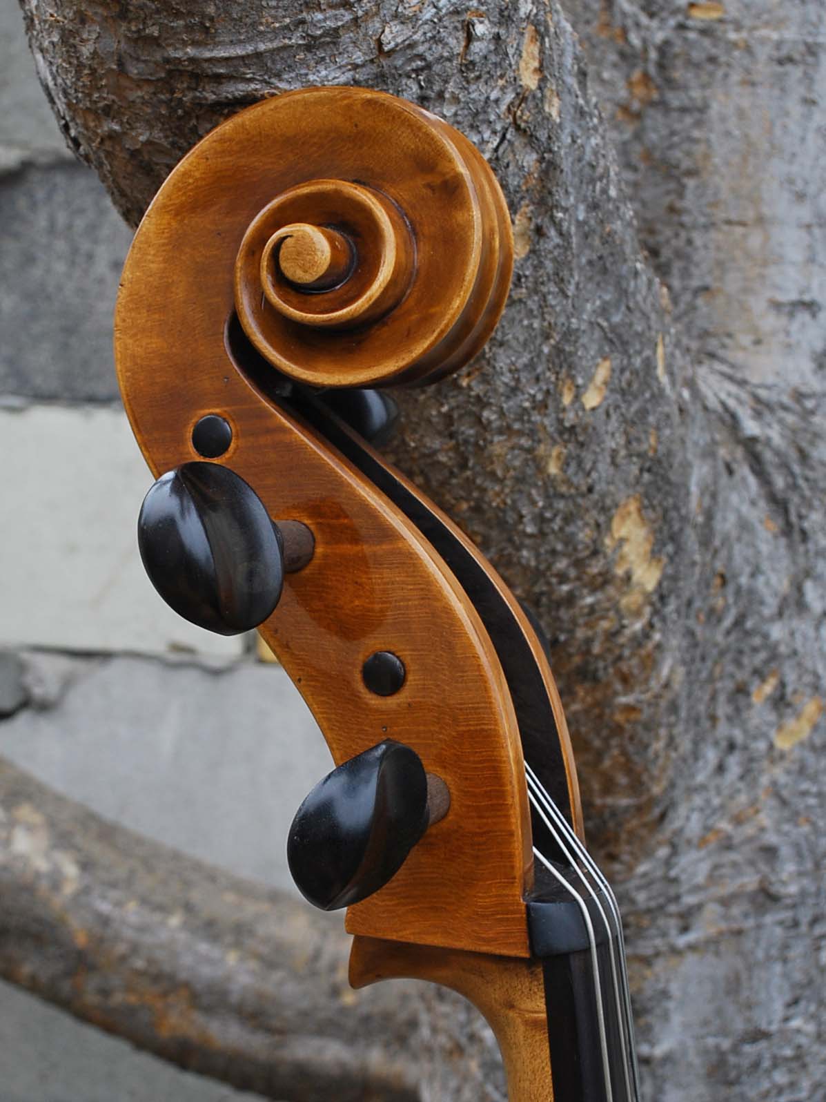 Topa Workshop Birdseye Maple 'Stradivari' 4/4 Cello