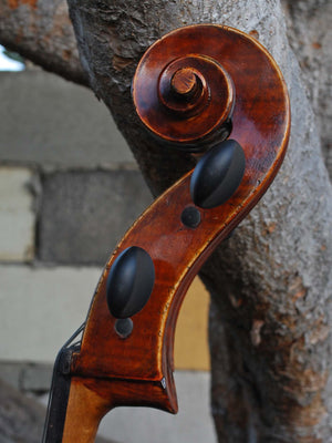 Johann Edler "Testore" 4/4 Cello