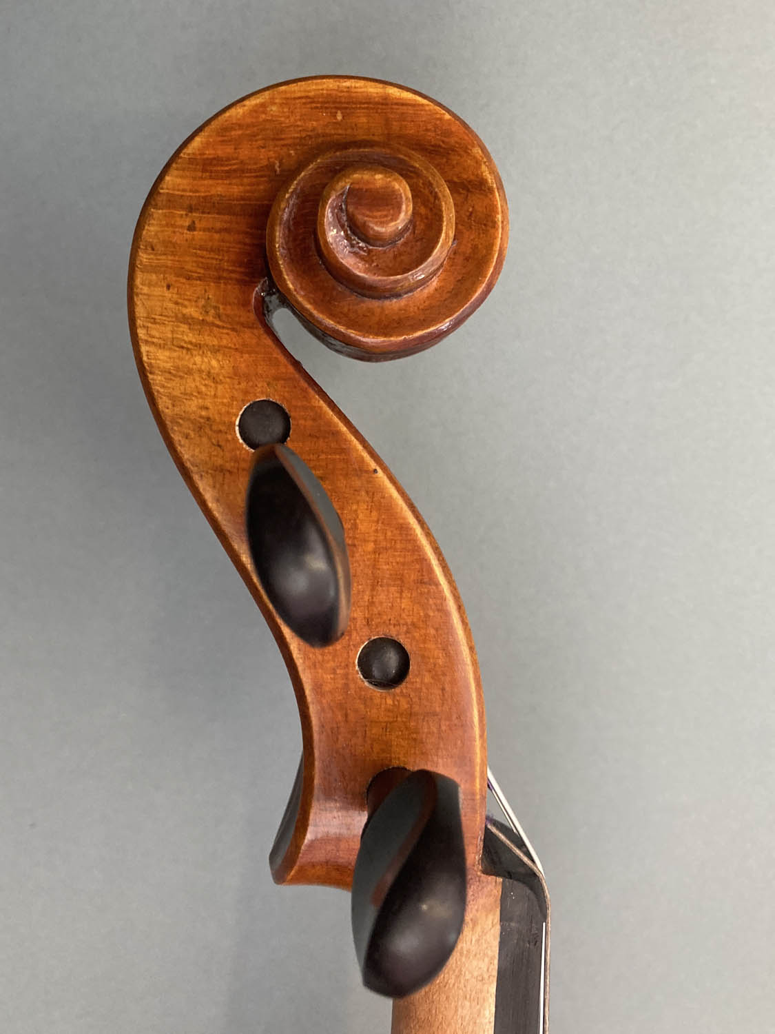 Albert Nebel 4/4 Violin