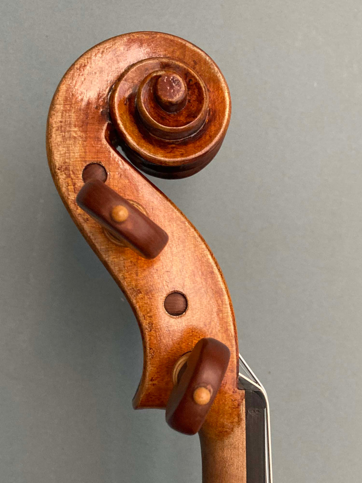 Eastman 30th Anniversary model 830 4/4 Violin