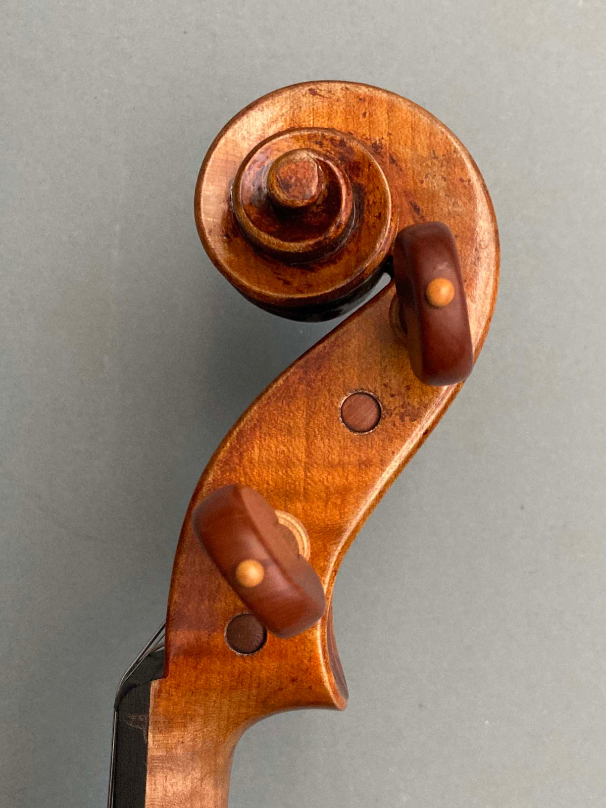 Eastman 30th Anniversary model 830 4/4 Violin