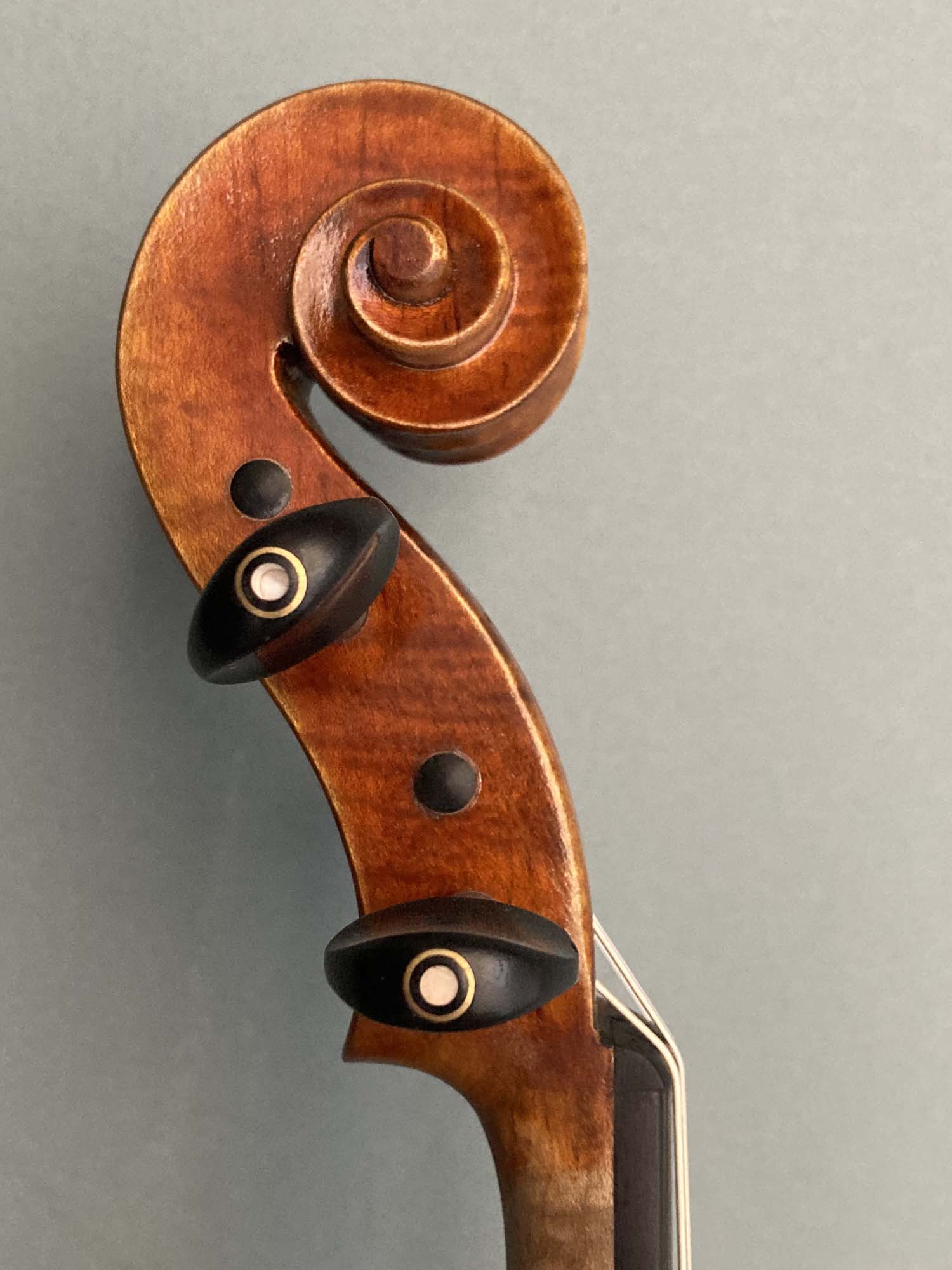 Sheng liu violin hotsell