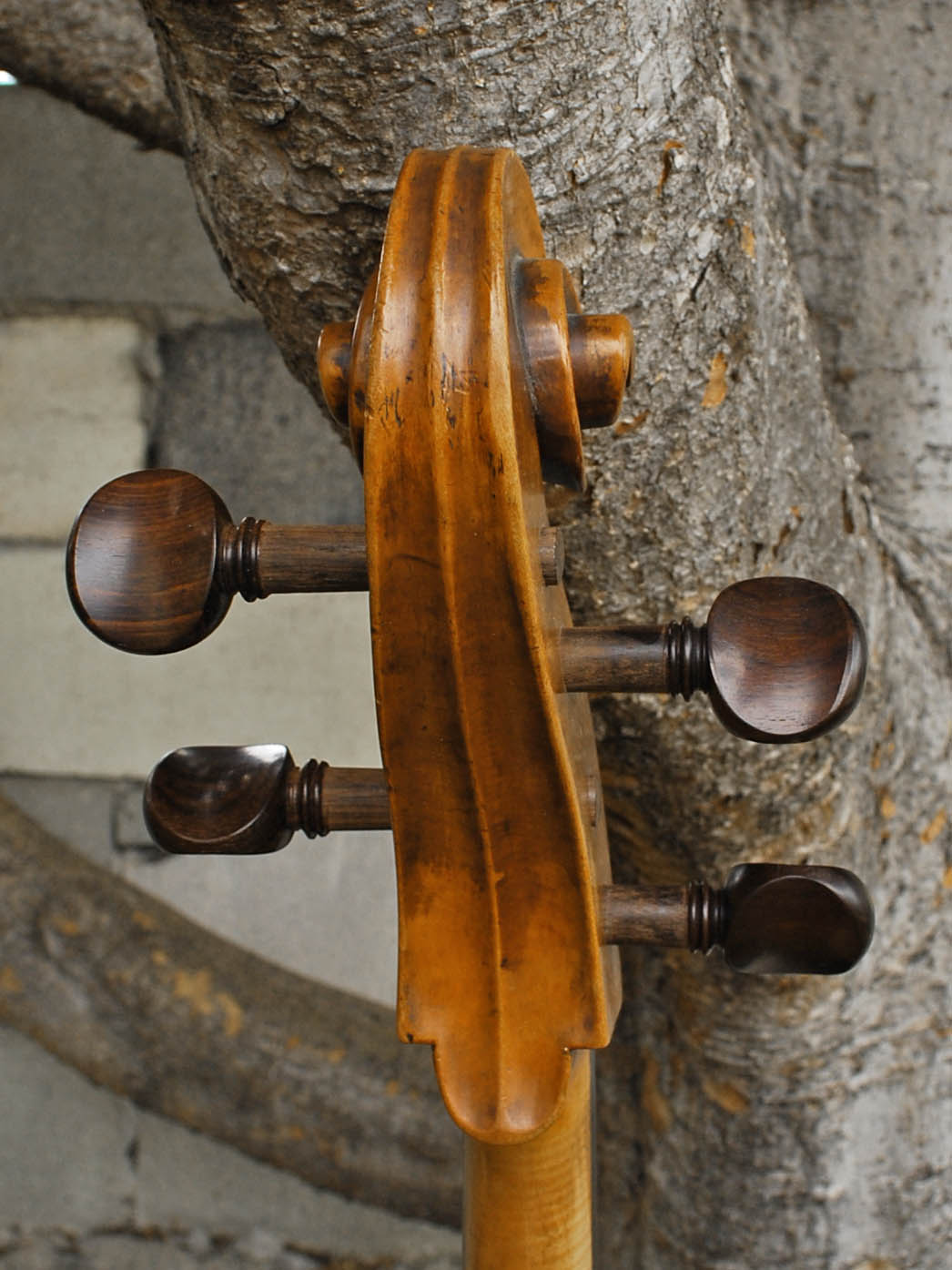 Old Cello labeled 'Ferdinandus Gagliano 1761' - 4/4 Cello