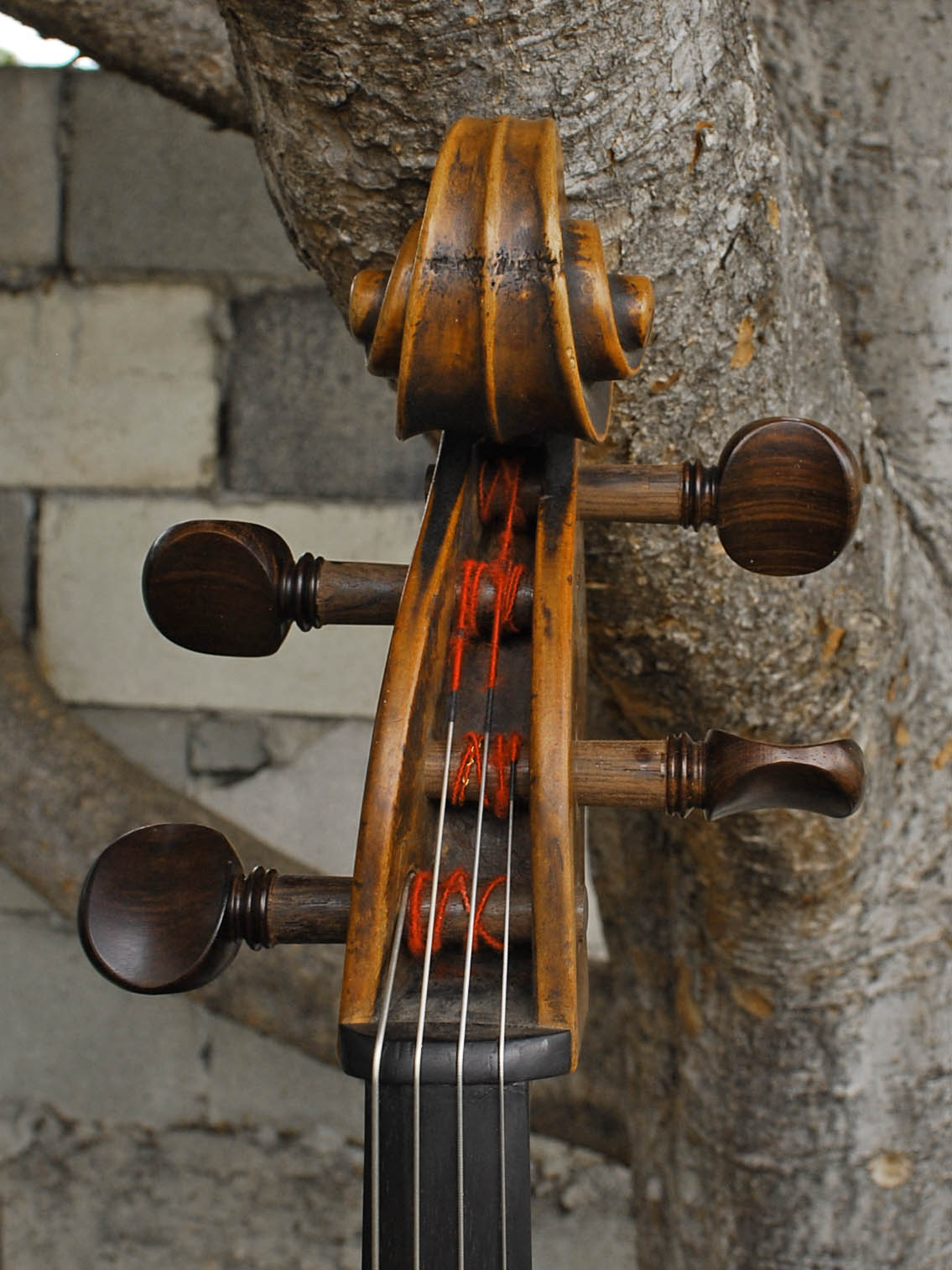 Old Cello labeled 'Ferdinandus Gagliano 1761' - 4/4 Cello
