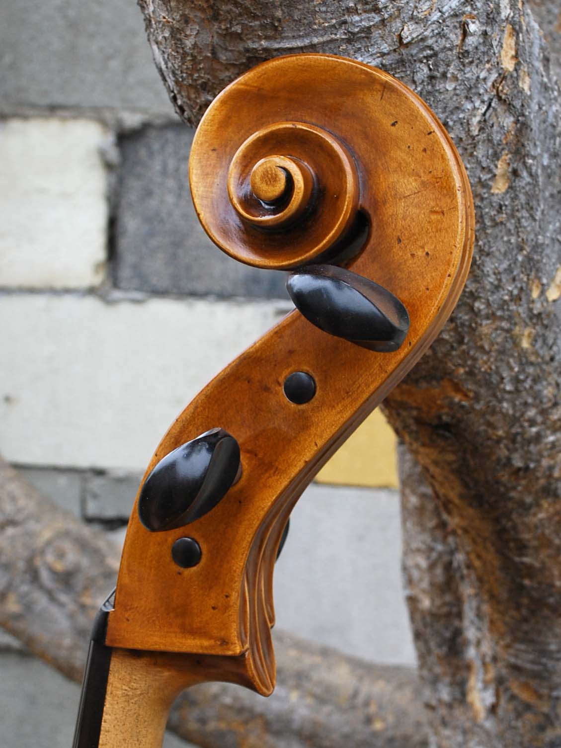 Topa Workshop Birdseye Maple 'Stradivari' 4/4 Cello