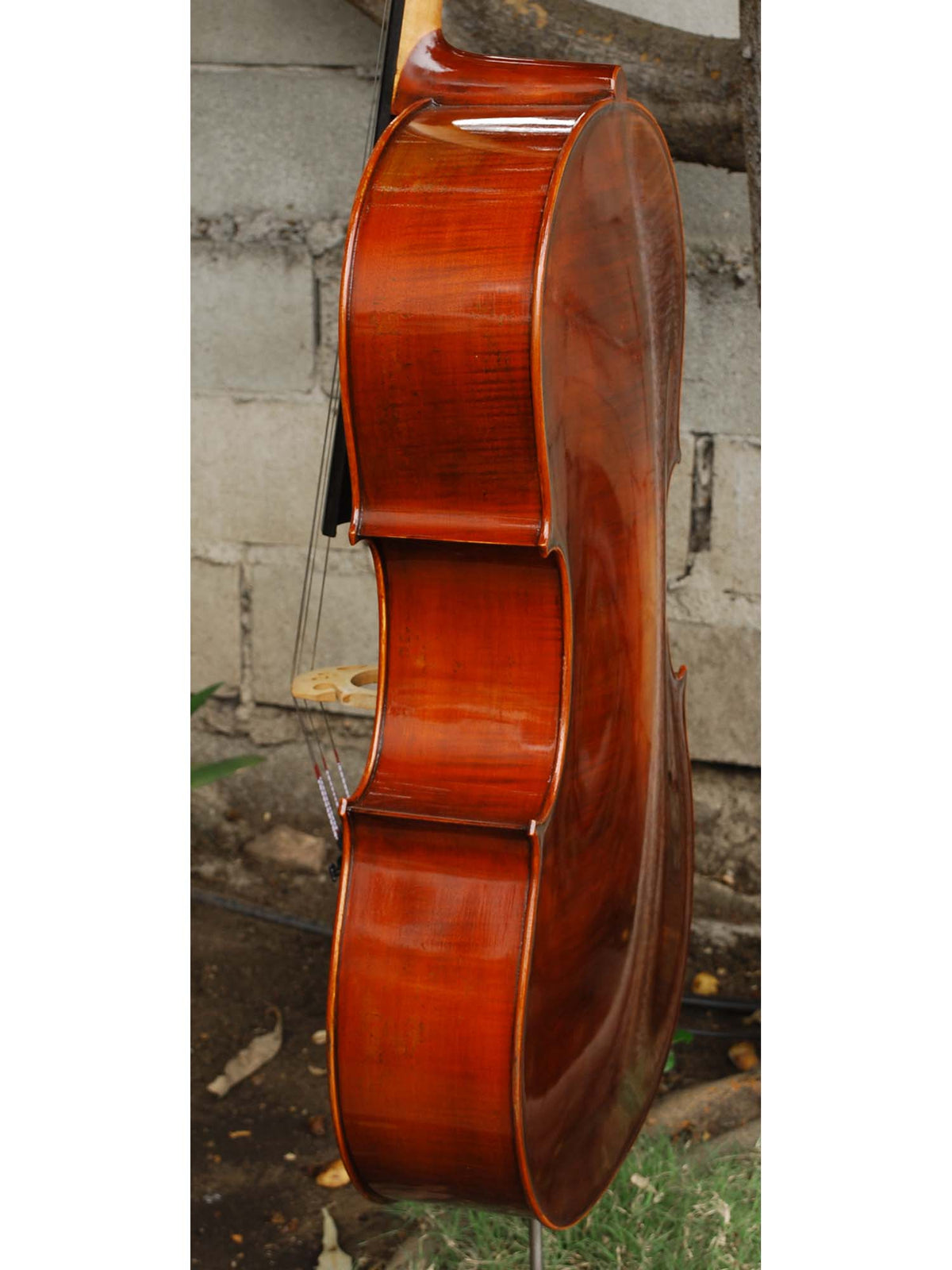 Jean-Pierre Lupot 'Strad' model 501 - 4/4 Cello