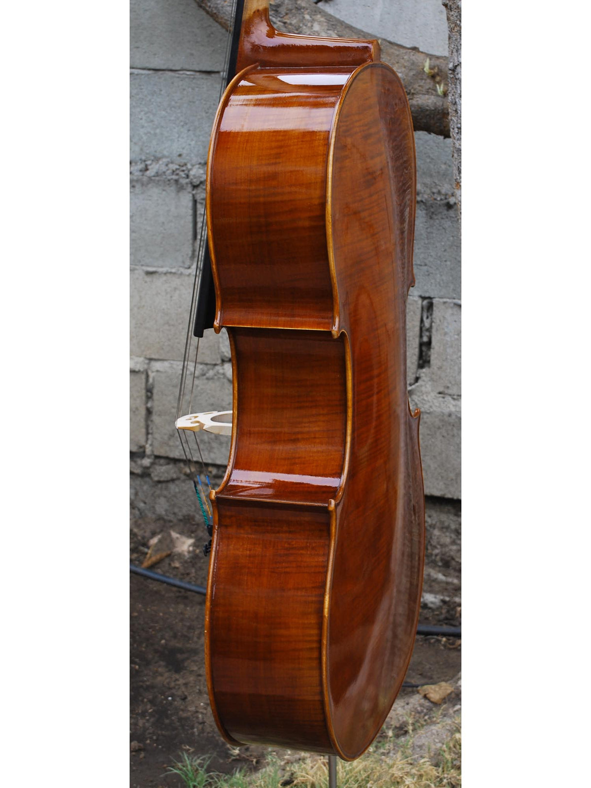 Vivo 100 '1710 Strad' 4/4 Cello