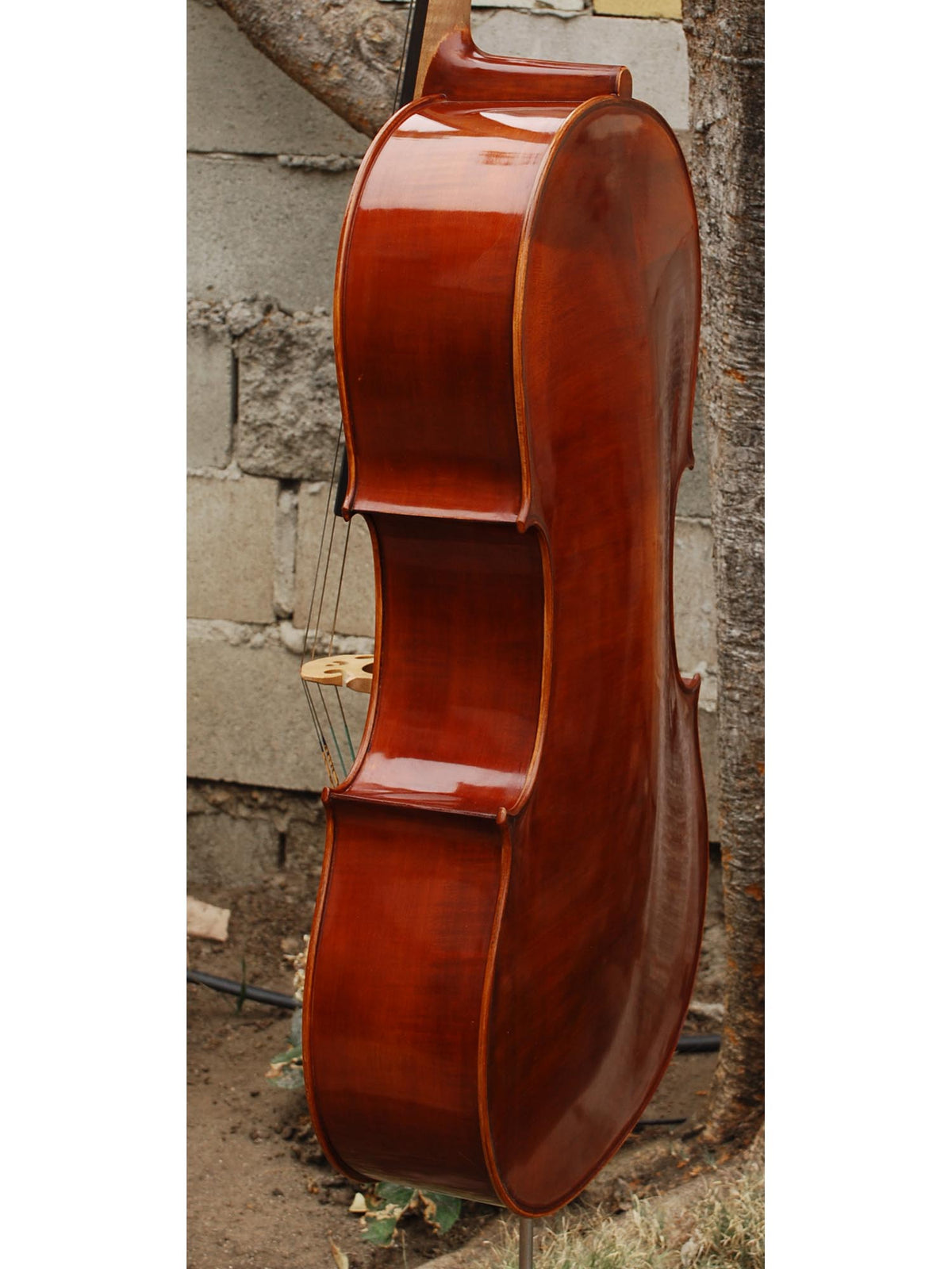 Viktor Resca #5 (Romania) - 7/8 Cello