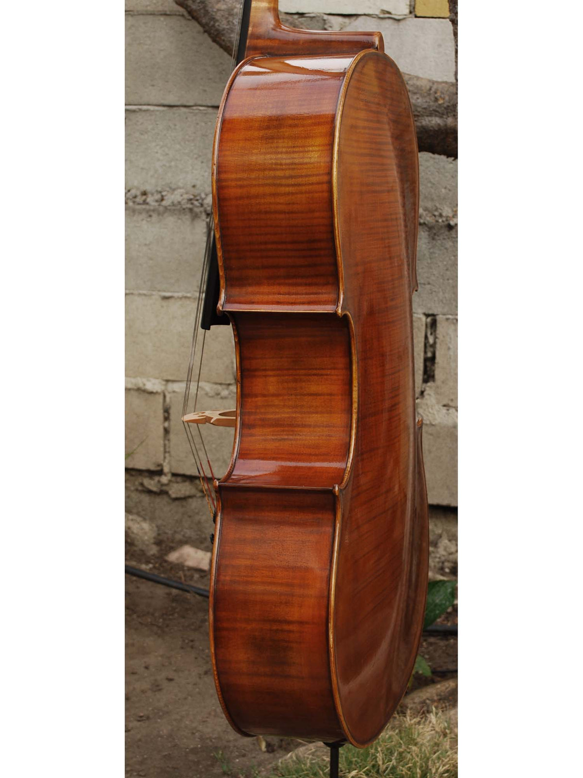 C.L. Wynn 620 'Gofriller' 4/4 Cello