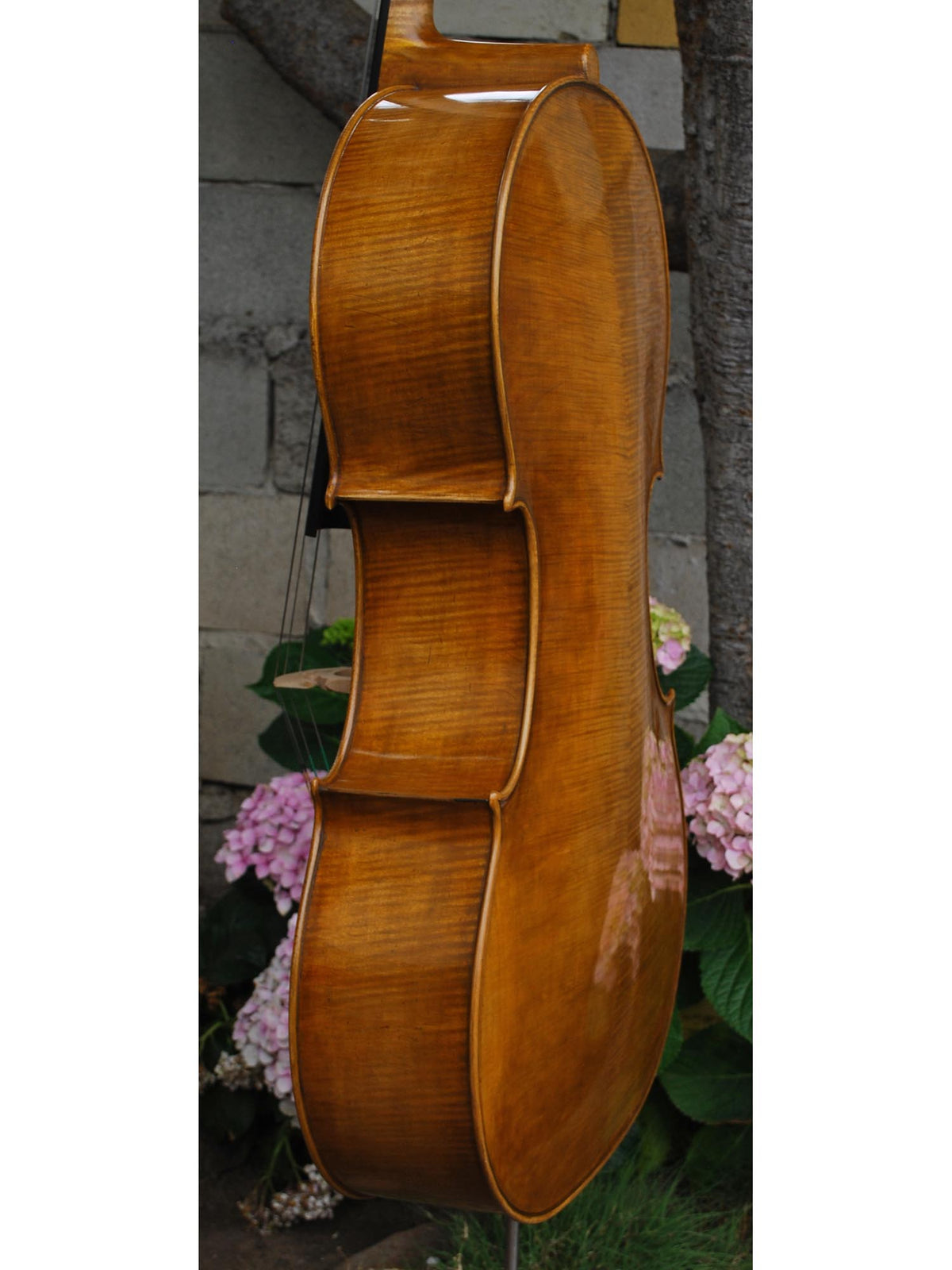 Jan Szlachtowski Master Level 'Gofriller' 4/4 Cello
