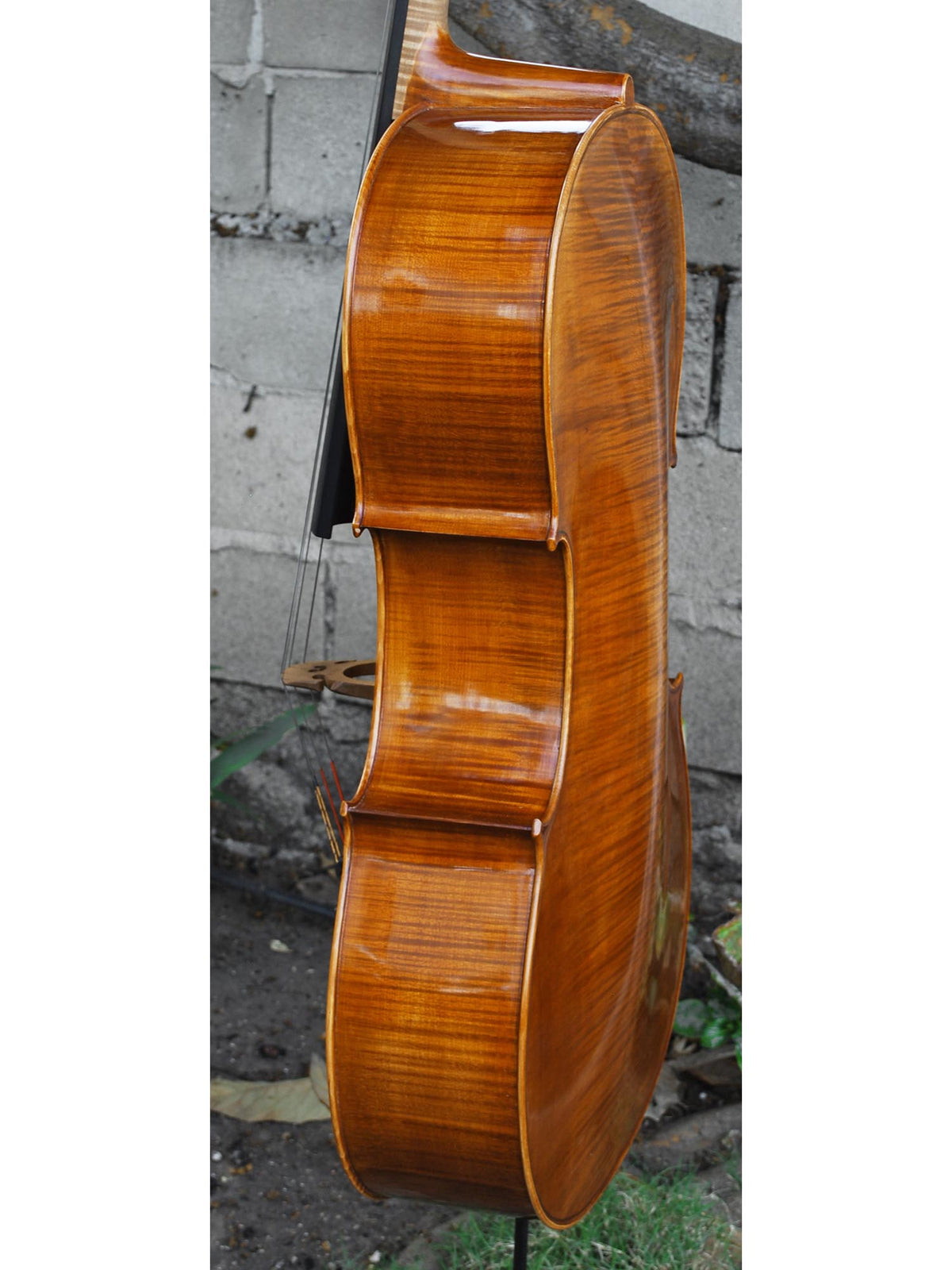 Victor Resca Model #7 4/4 Cello "BFF"