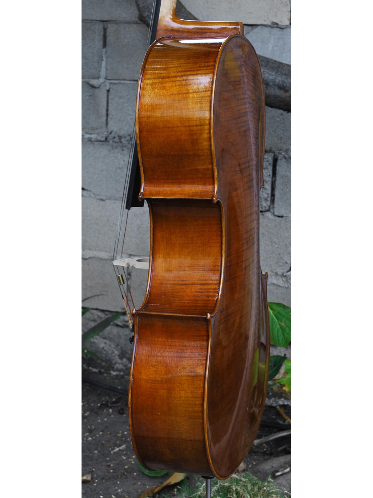 Vivo Gofriller Replica 4/4 Cello