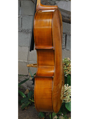 Pietro Lombardi model 502 - 7/8 Cello