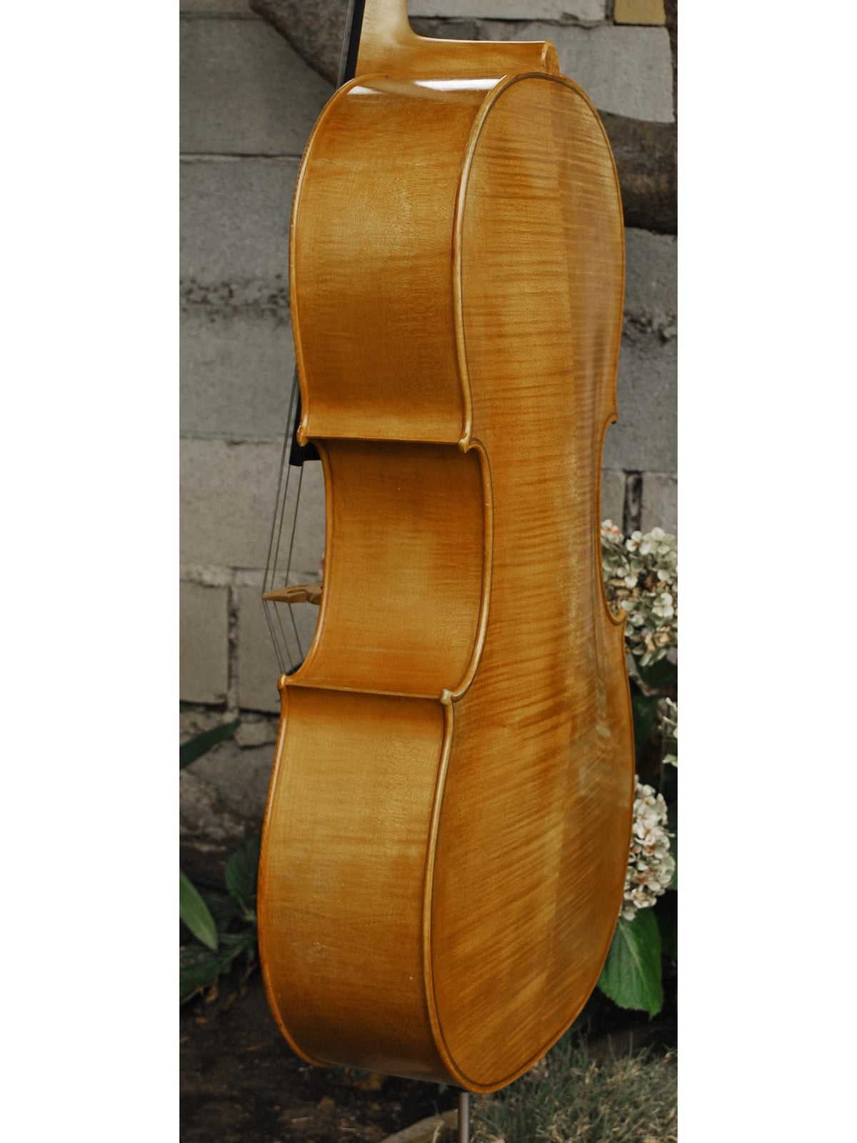 Emanuel Wilfer Master 'Stradivari' 4/4 Cello