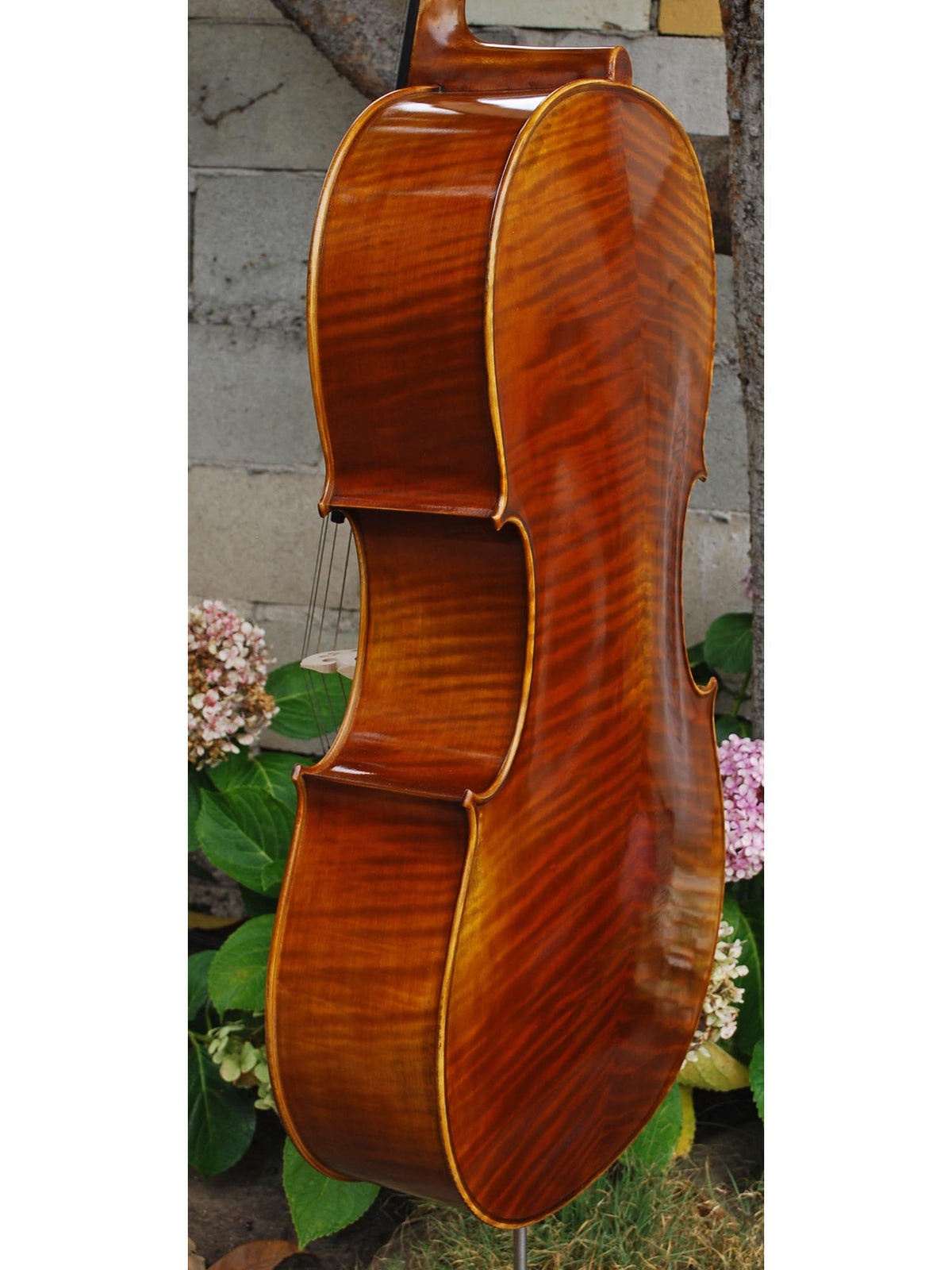 Fire Phoenix FC500 'Artista' 4/4 Cello