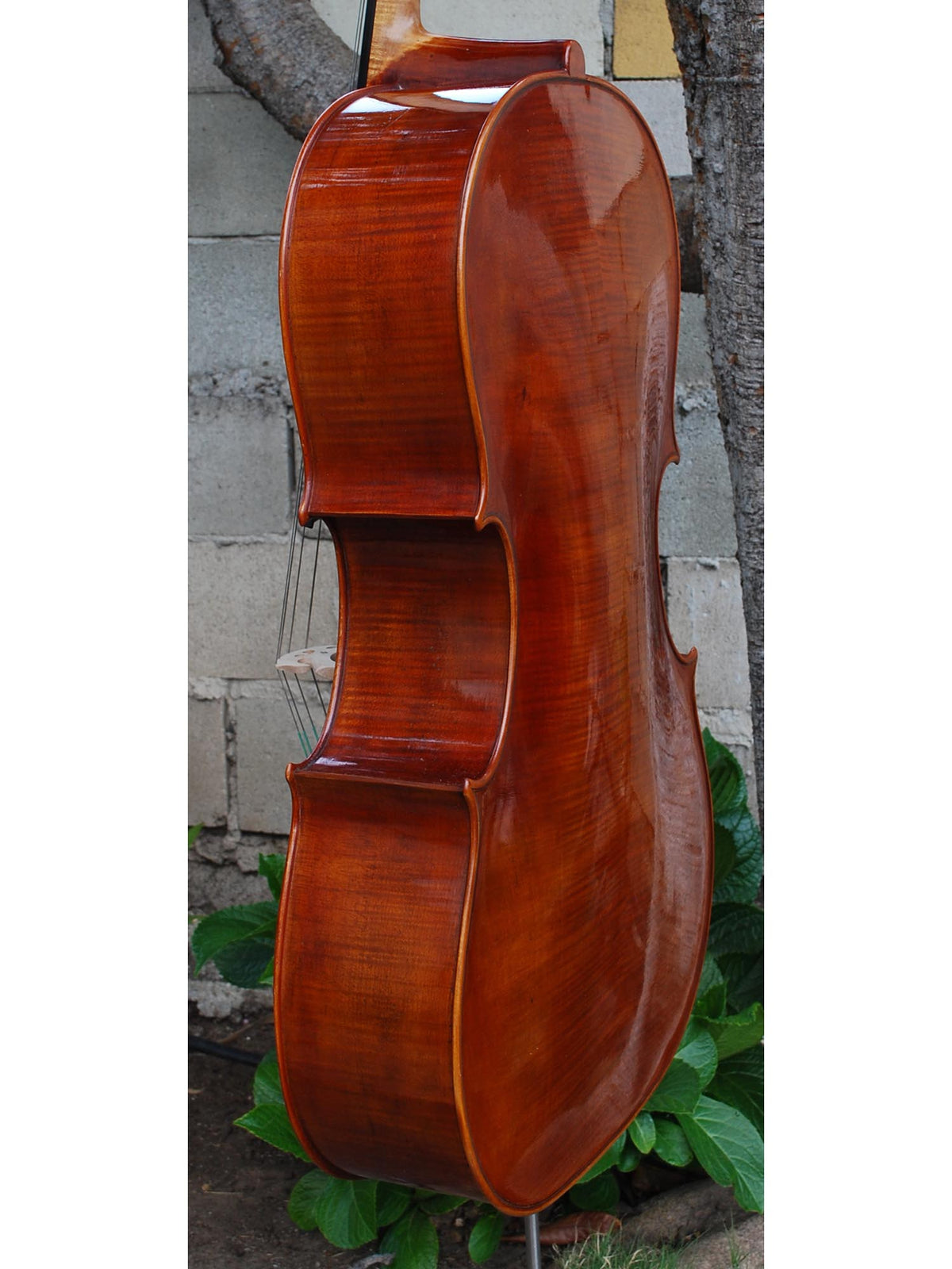 Andrzej Glodek Master 7/8 Cello
