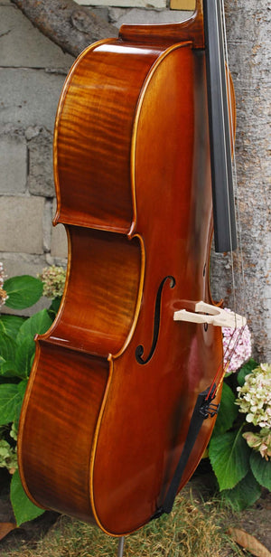 Fire Phoenix FC500 'Artista' 4/4 Cello