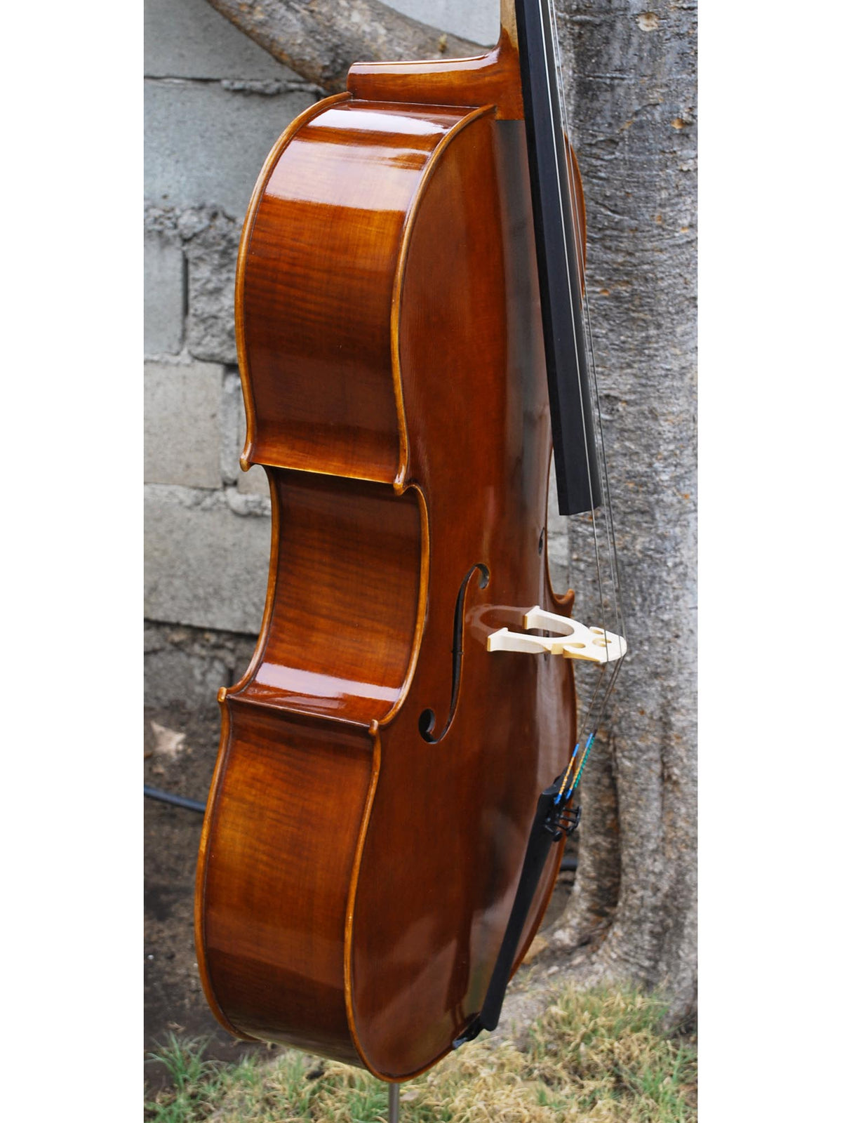 Vivo 100 '1710 Strad' 4/4 Cello