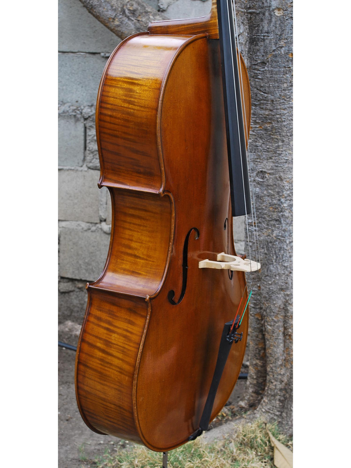 SIR 4/4 Cello 2000