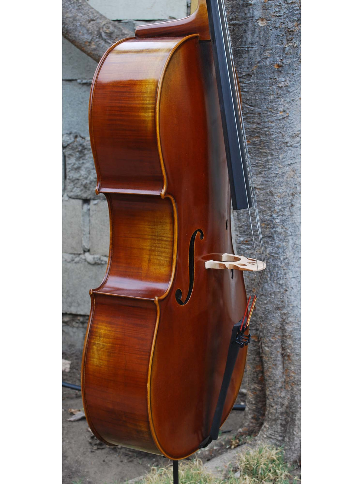 Antonio Fiorini 650 'Stradivari' - 7/8 Cello (0826)