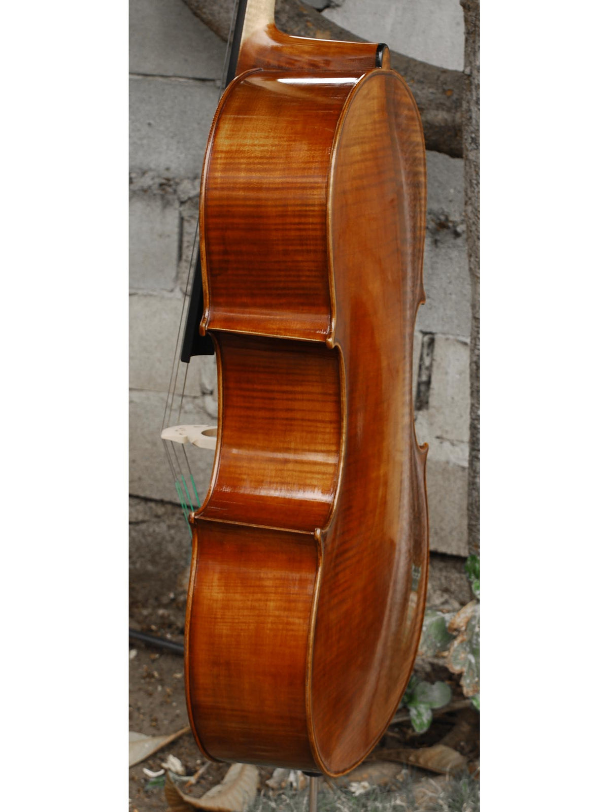 Vivo Guadagnini 1777 'Simpson' Replica 4/4 Cello (26120)