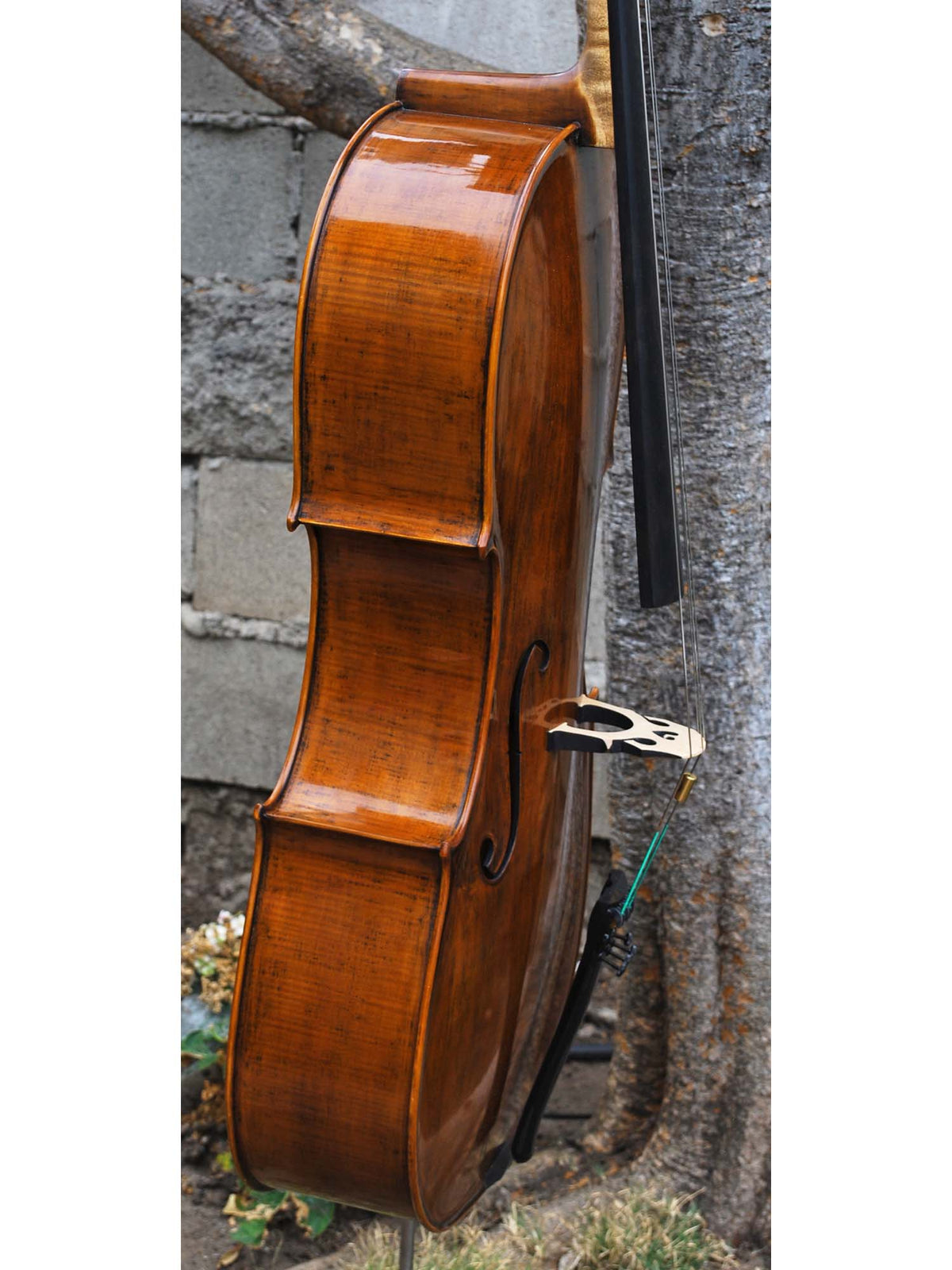 Nicholas Baciu #5 "Tiki Bob" (Romania) - 7/8 Cello