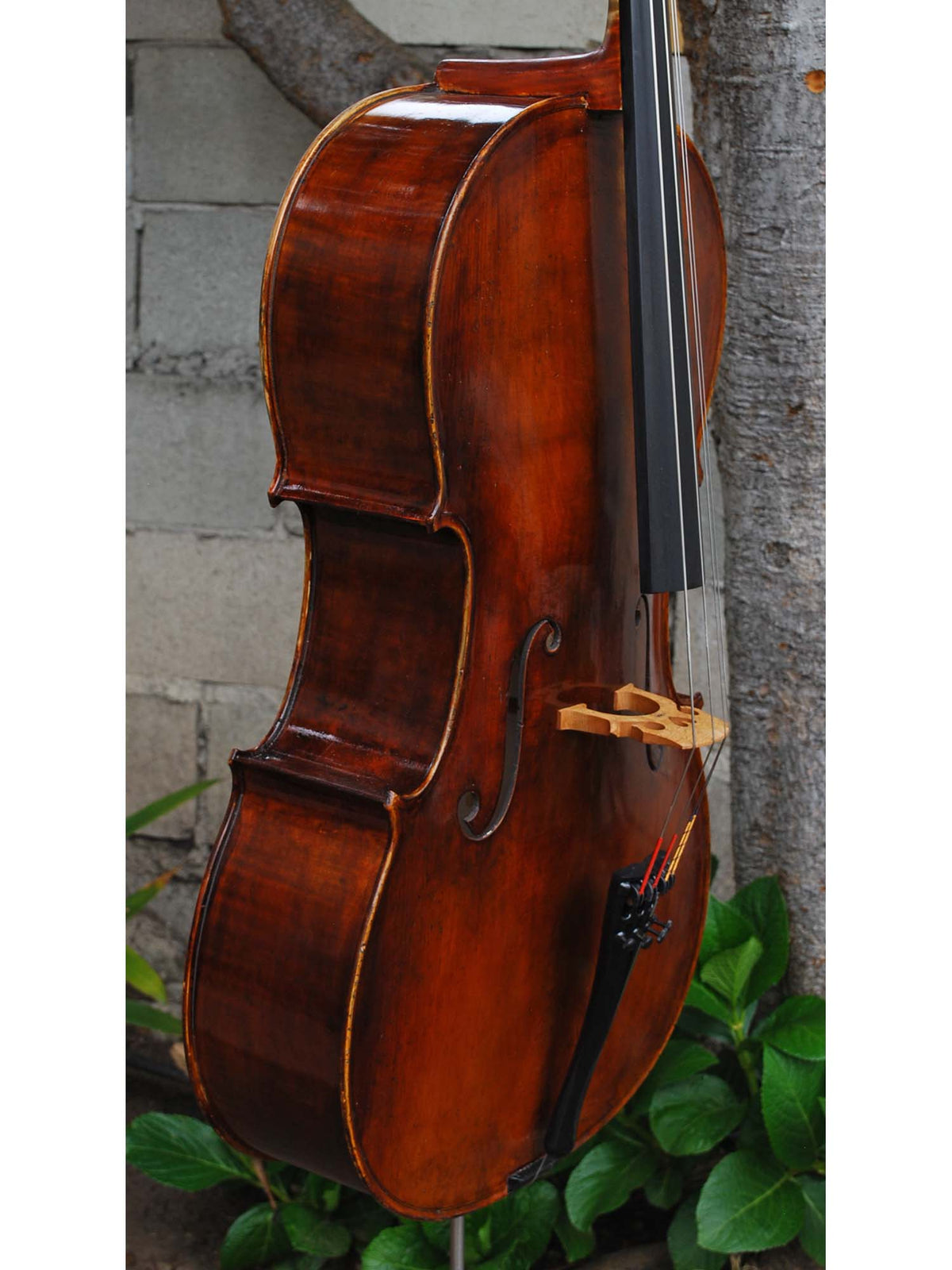 Michael Gerlach 3/4 Cello (182)