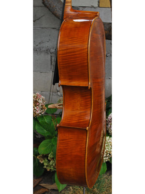 Cracovia Montagnana Deluxe 4/4 Cello