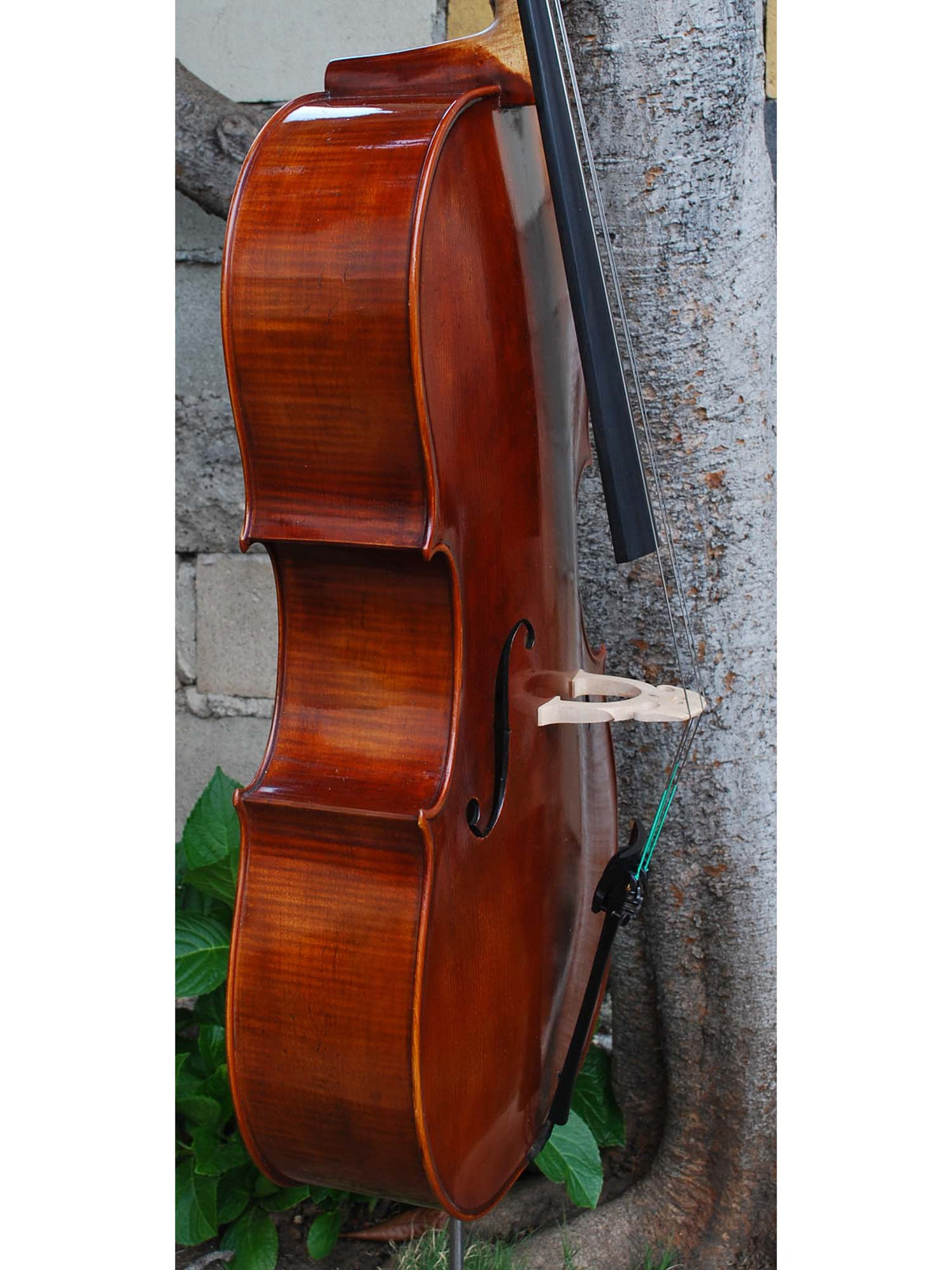 Andrzej Glodek Master 7/8 Cello