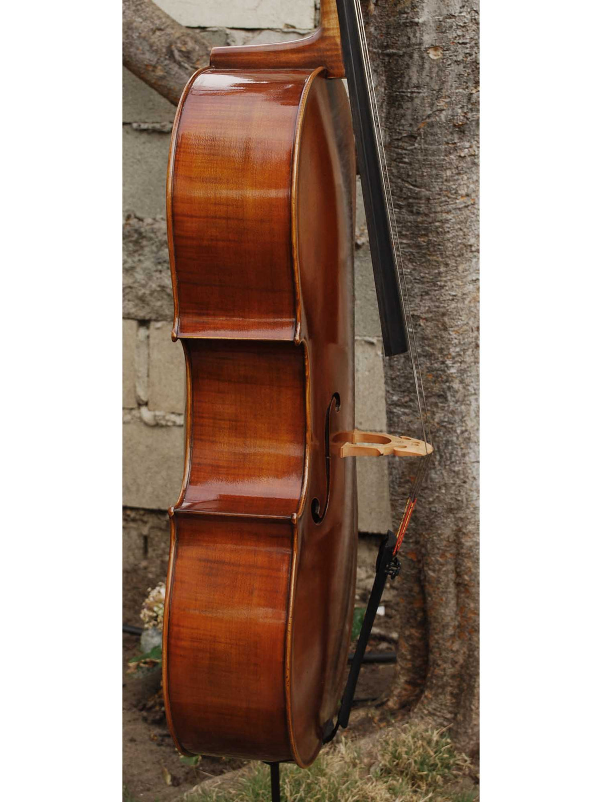 C.L. Wynn 620 'Gofriller' 4/4 Cello