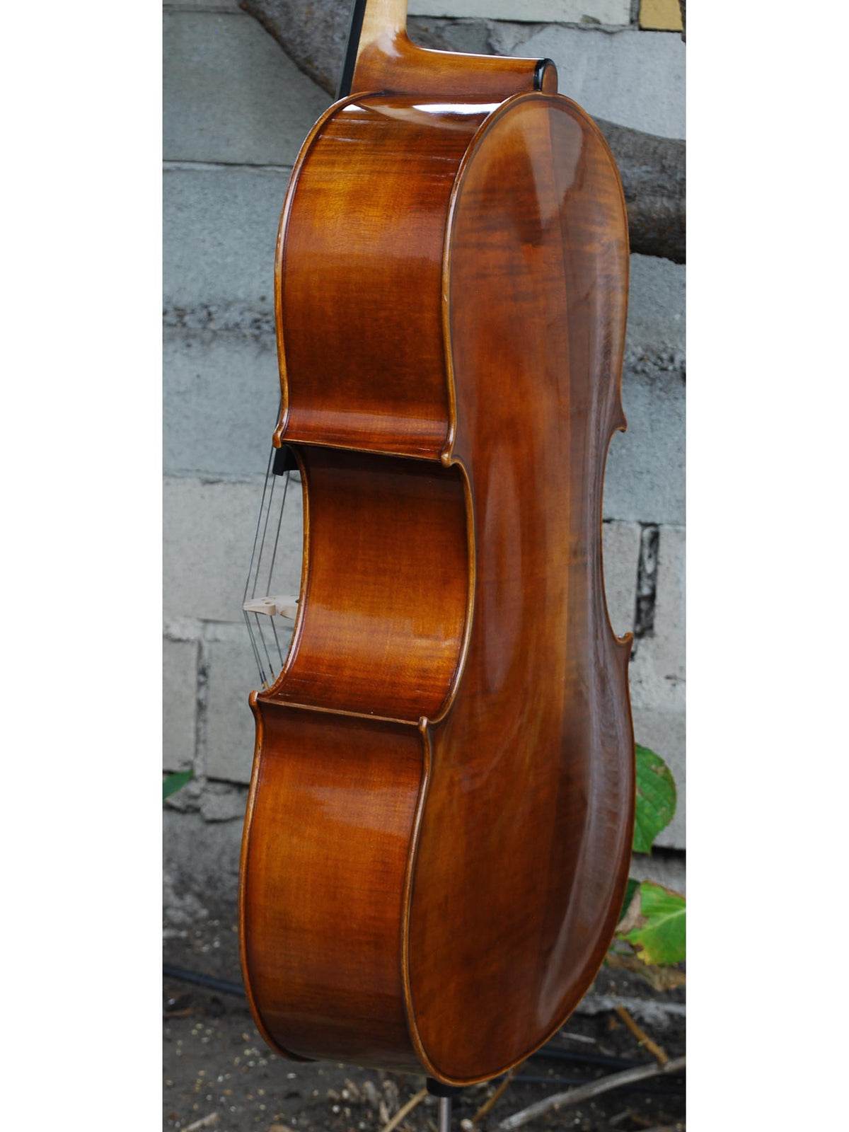 Vivo Guadagnini 1777 'Simpson' Replica 4/4 Cello (25017)