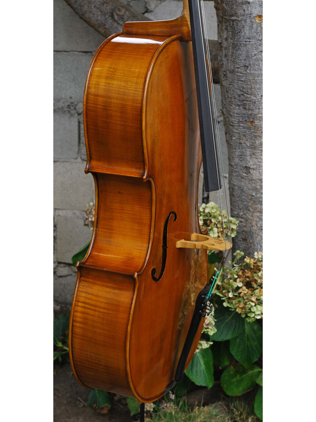 Pietro Lombardi model 502 - 7/8 Cello