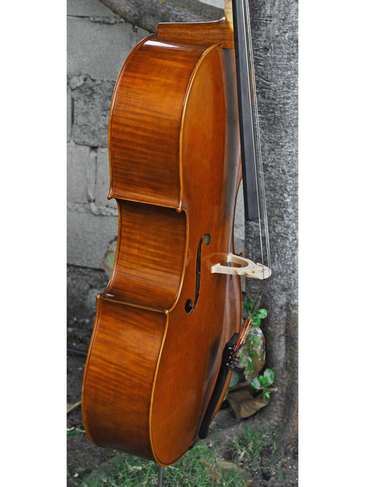 Vivo 'King Amati 1570' 4/4 Cello