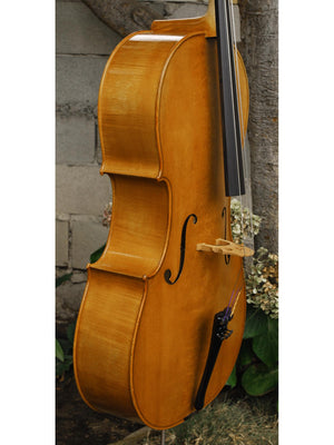 Emanuel Wilfer Master 'Stradivari' 4/4 Cello