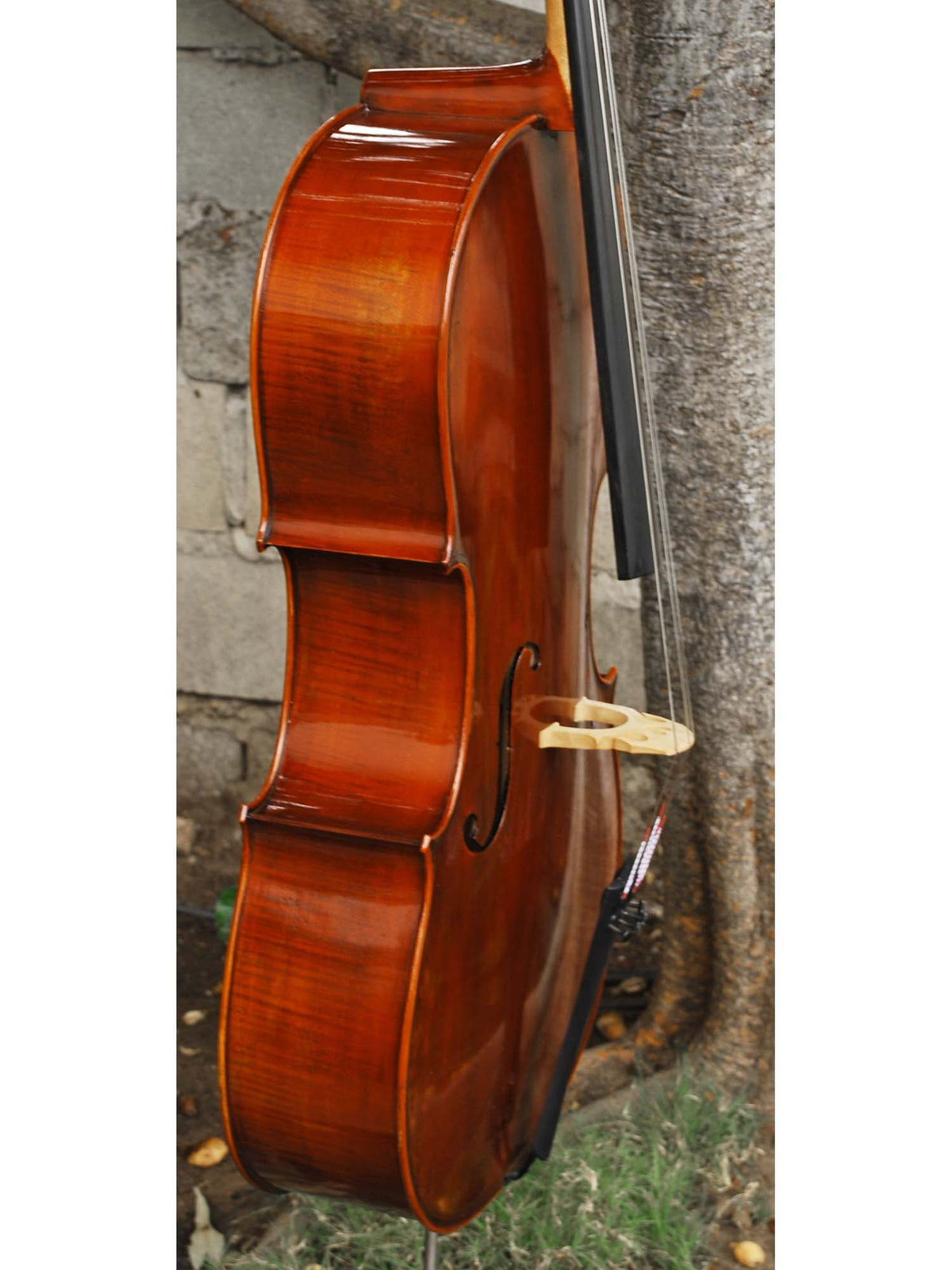 Jean-Pierre Lupot 'Strad' model 501 - 4/4 Cello