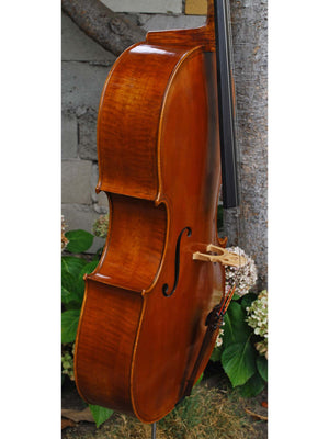 Cracovia Montagnana Deluxe 4/4 Cello