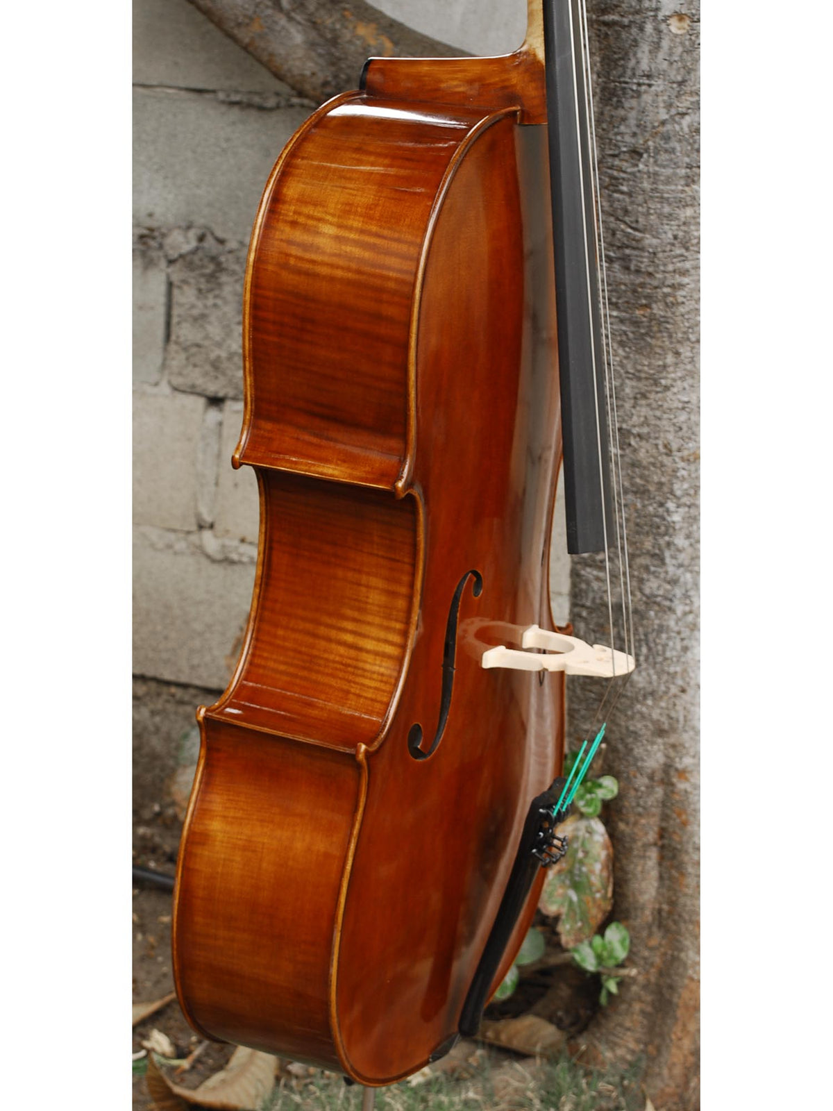 Vivo Guadagnini 1777 'Simpson' Replica 4/4 Cello (26120)