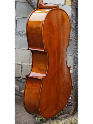 Eastman model 830 Poplar Strad pattern 4/4 Cello