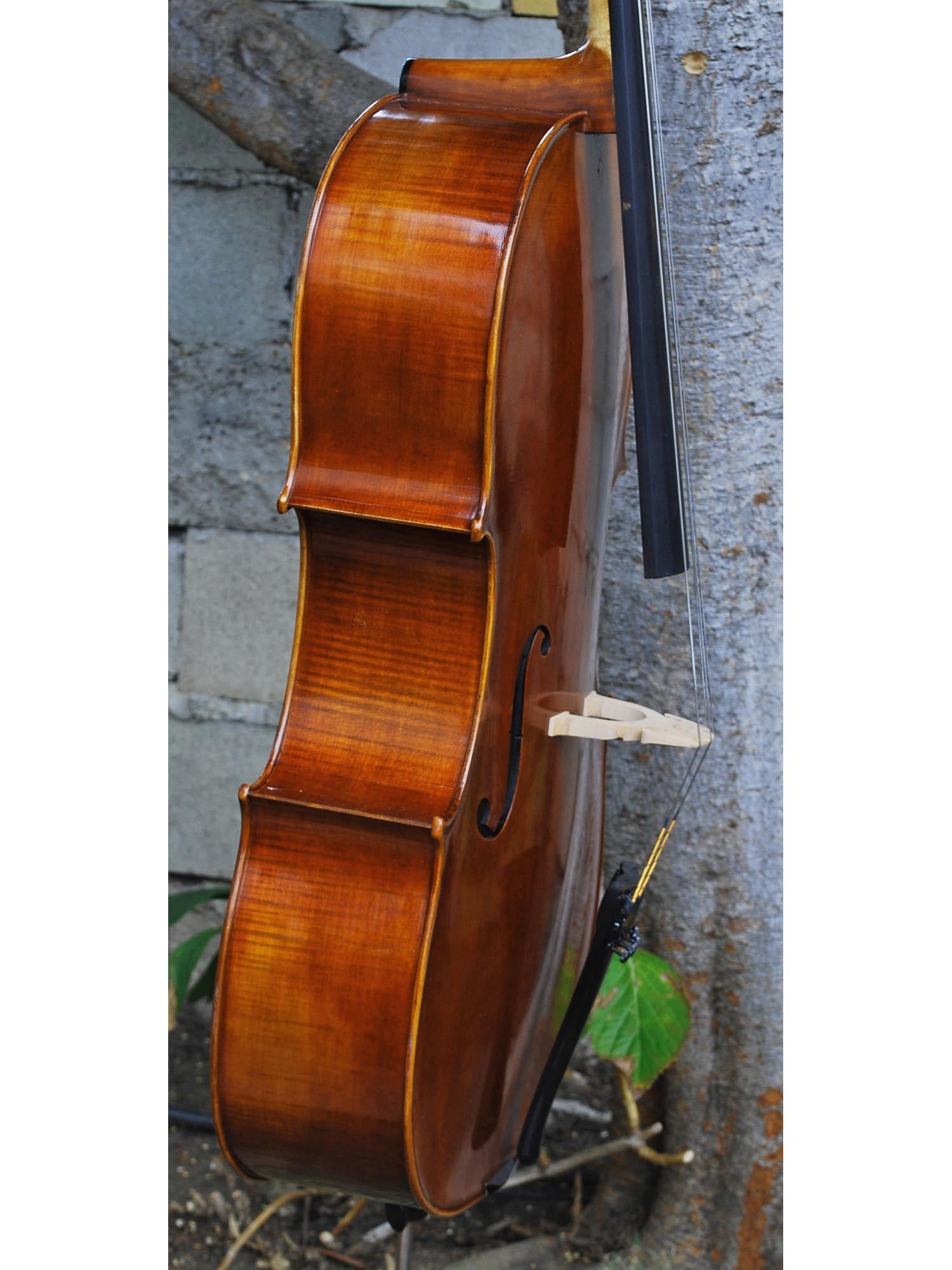 Vivo Guadagnini 1777 'Simpson' Replica 4/4 Cello (25017)