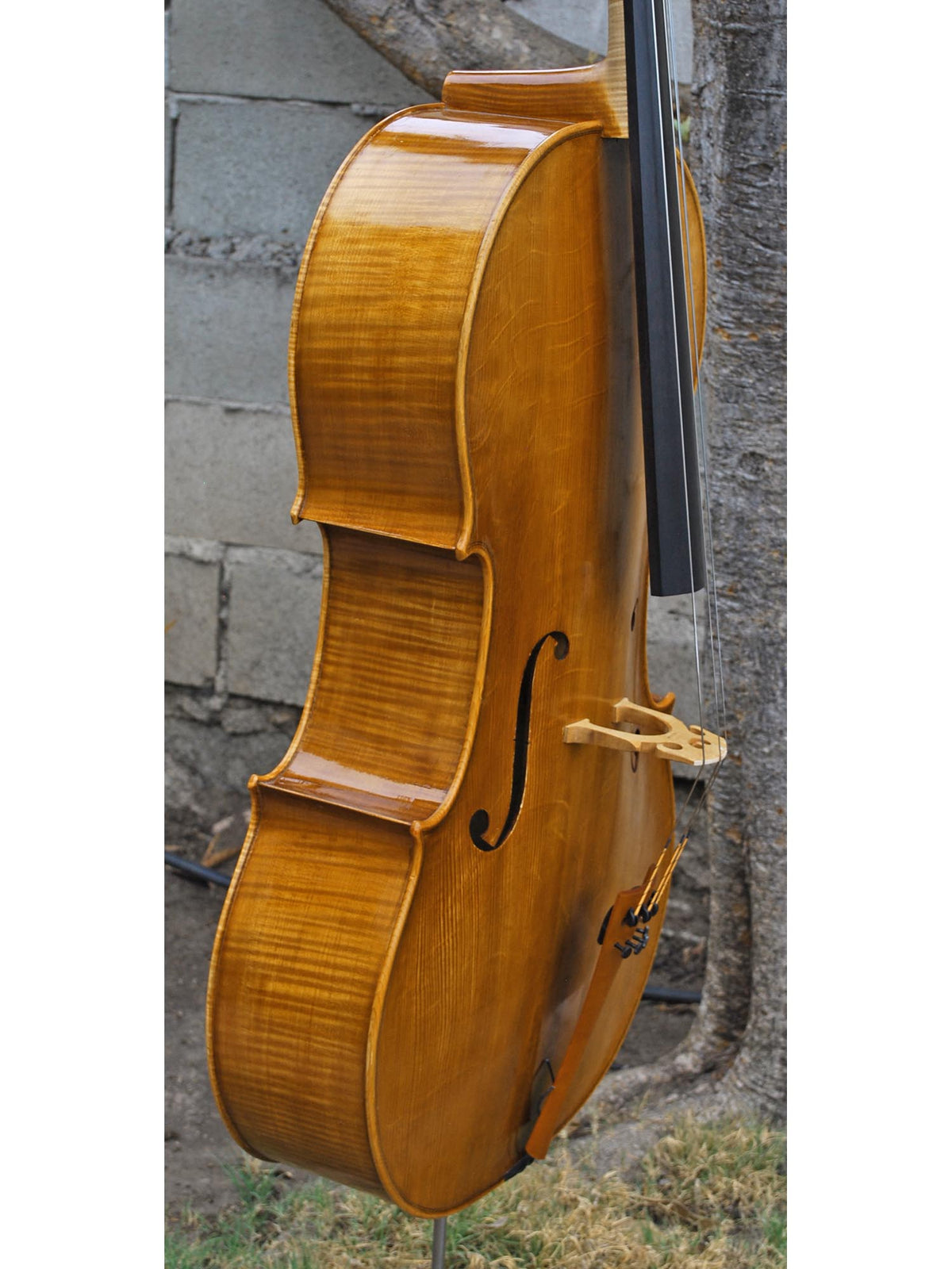 Tadeusz Slipek Master 'Jacobs' Golden 4/4 Cello