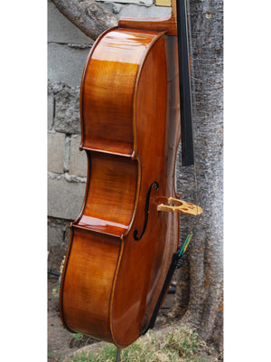 Eastman model 830 Poplar Strad pattern 4/4 Cello